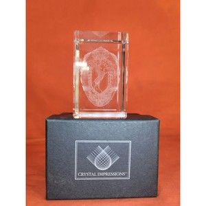 Faberge Crystal Glass Horse Inside Egg 3D Paperweight Laser Etched Israel Made